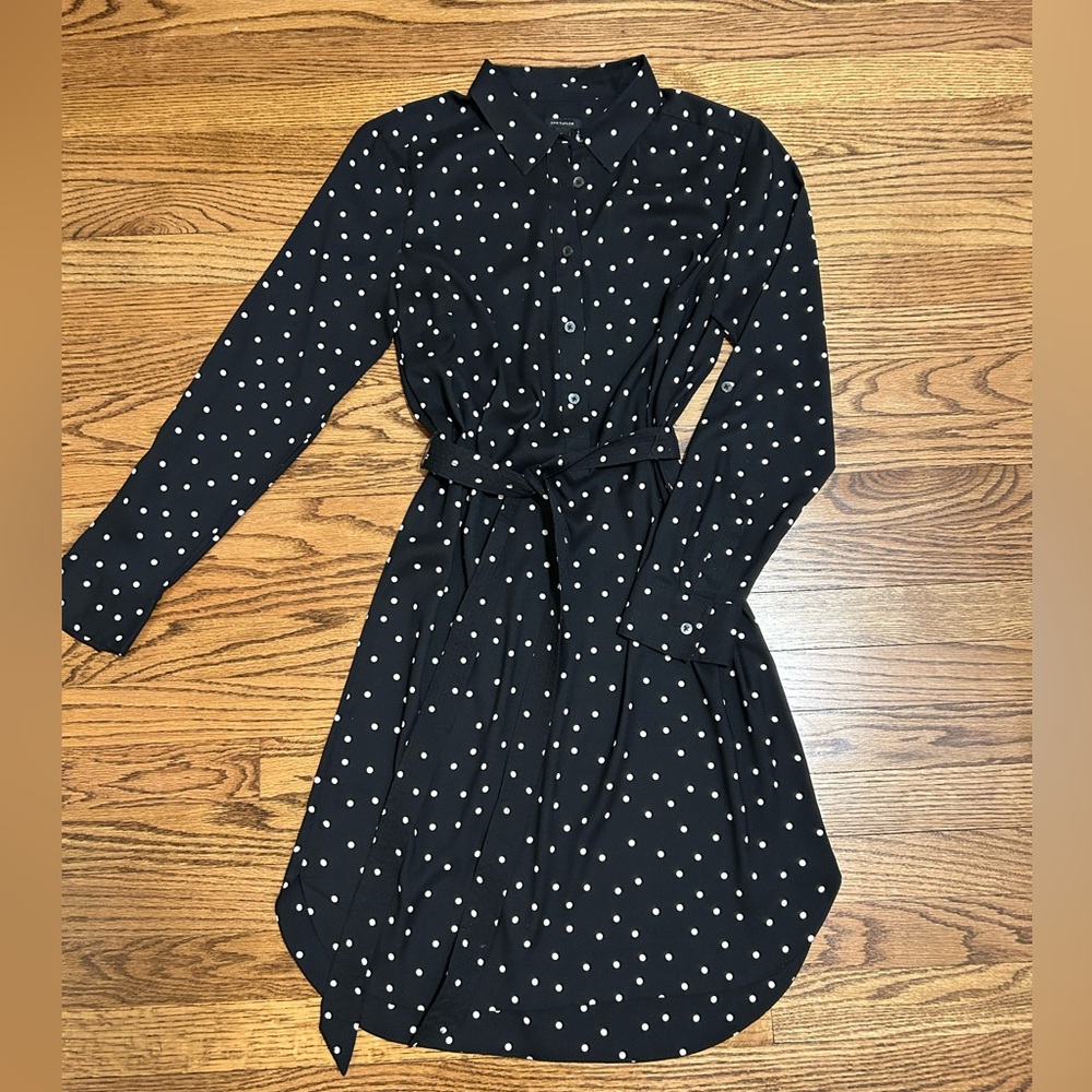 Ann Taylor Polka Dot Dress